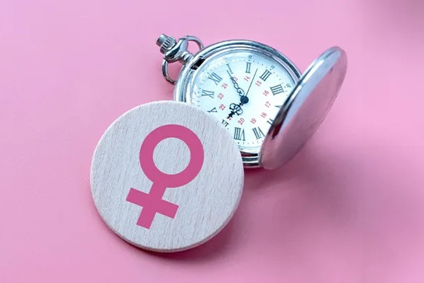 Wechseljahre Bild Kopie2