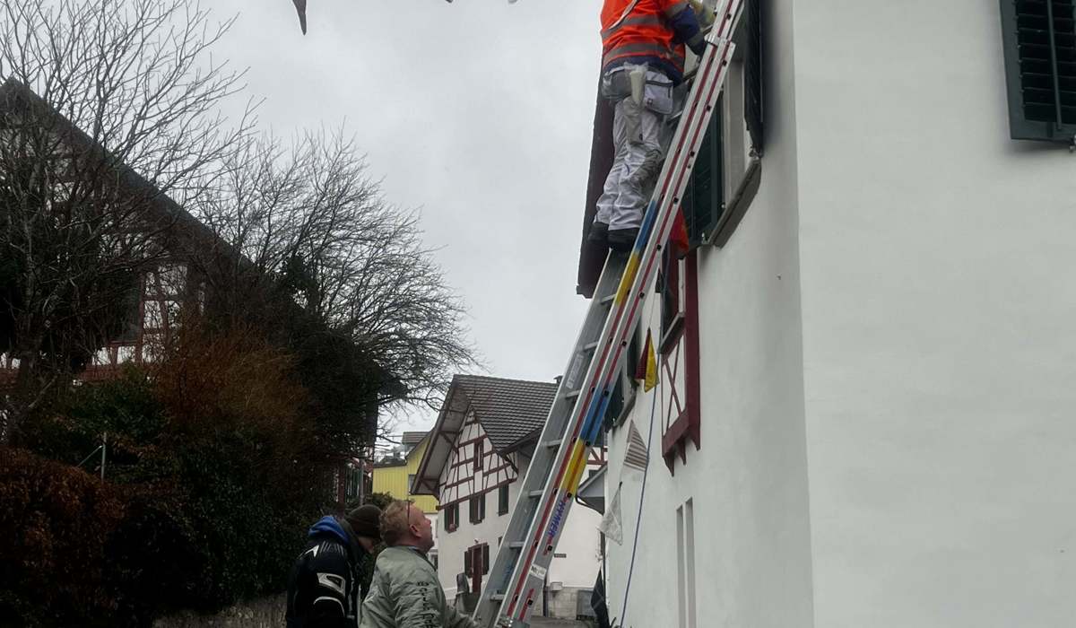 1301 X Hilari Uhwiesen 2 St