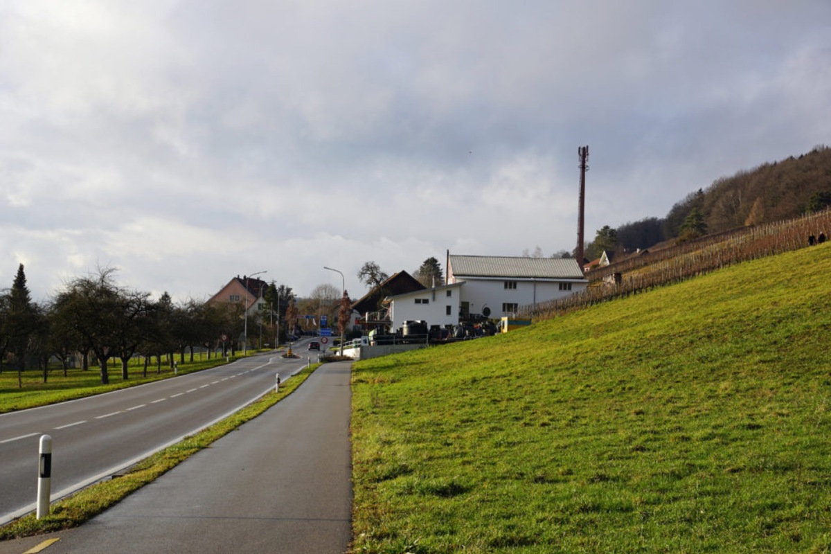 Die Handyantenne käme im Rebberg am östlichen Ortsausgang zu stehen.