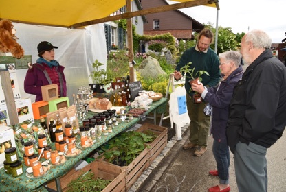 Fru Hlingsmarkt 13