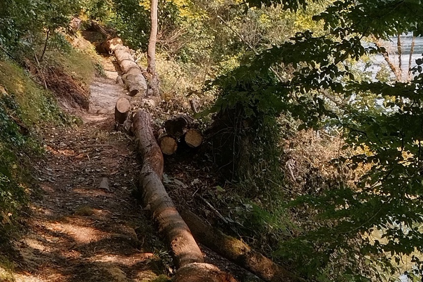 0810 3 Rheinau Nohl Wanderweg Zvg6