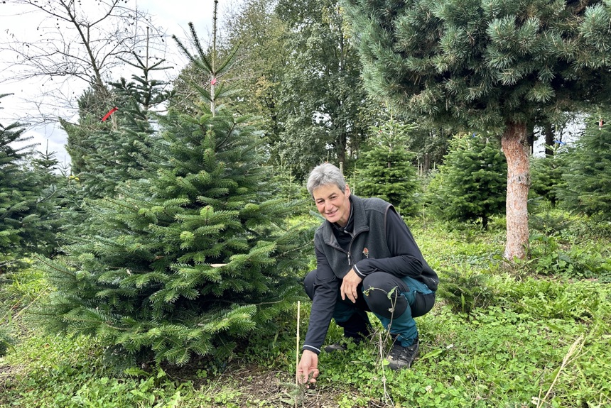 1010 9 Christbaum Monika Keller Sm11