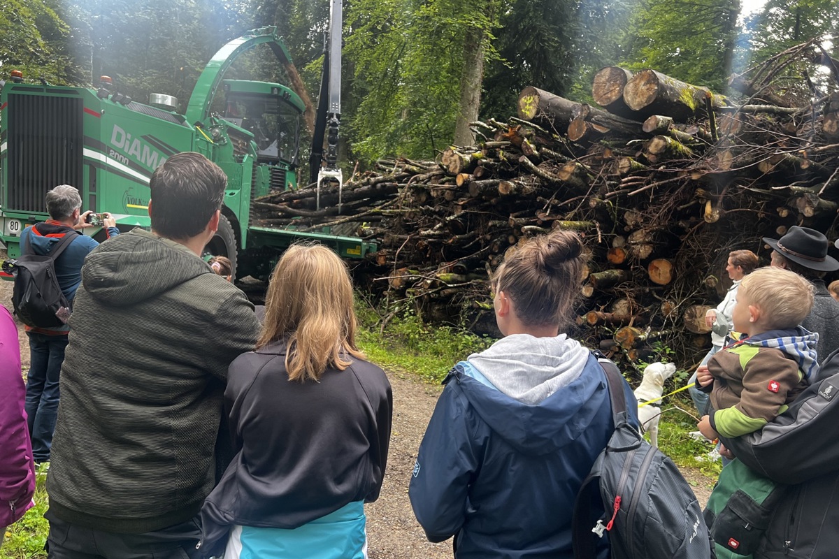 Vorführung des Grosshackers Albach Diamant beim Zerkleinern von Baumstämmen im Forst.