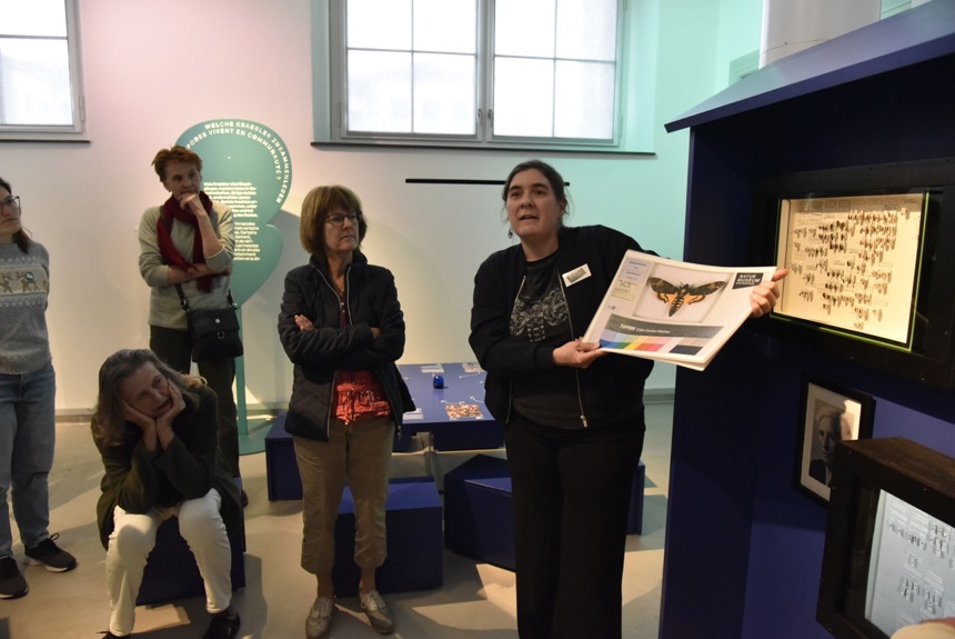 XV X Naturmuseum Schnurrenberger Cs1