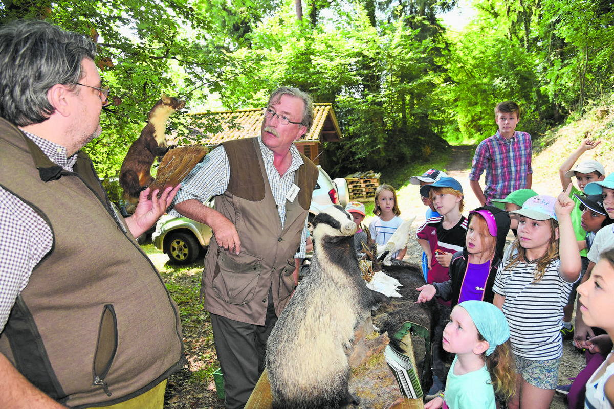 Holger Welz (vorne) und Robert Ober brachten den Kindern Wildtiere wie Baummarder und Dachs näher.