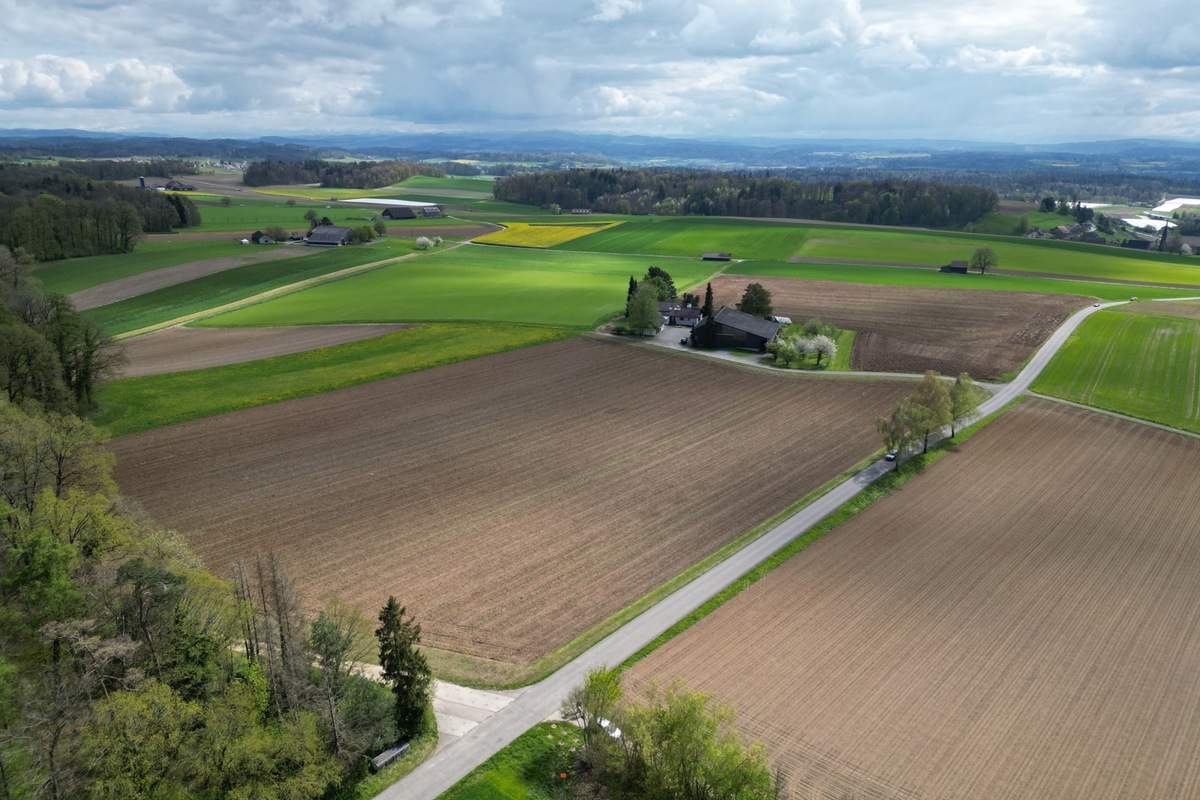 Zwischen dem Wald und den Siedlungen Steighof (vorne) und Eichhof (hinten) könnten laut Kanton 600'000 Kubikmeter Bauschutt deponiert werden. Rechts am Rand ist der Kirchturm von Trüllikon zu erkennen.