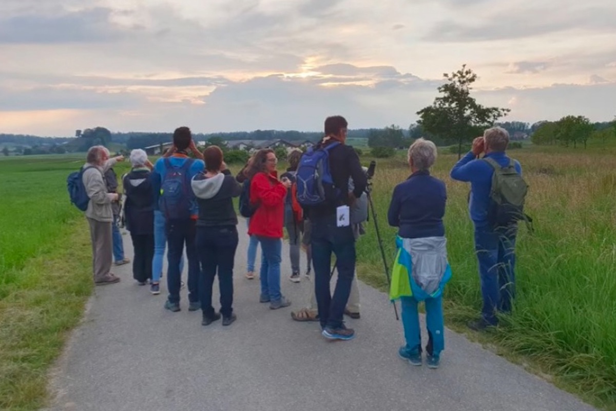 Der Kurs besteht aus einem Theorieabend und fünf Exkursionen in die verschiedenen Lebensräume der Vogelarten. Er kann nur als Ganzes gebucht werden. 