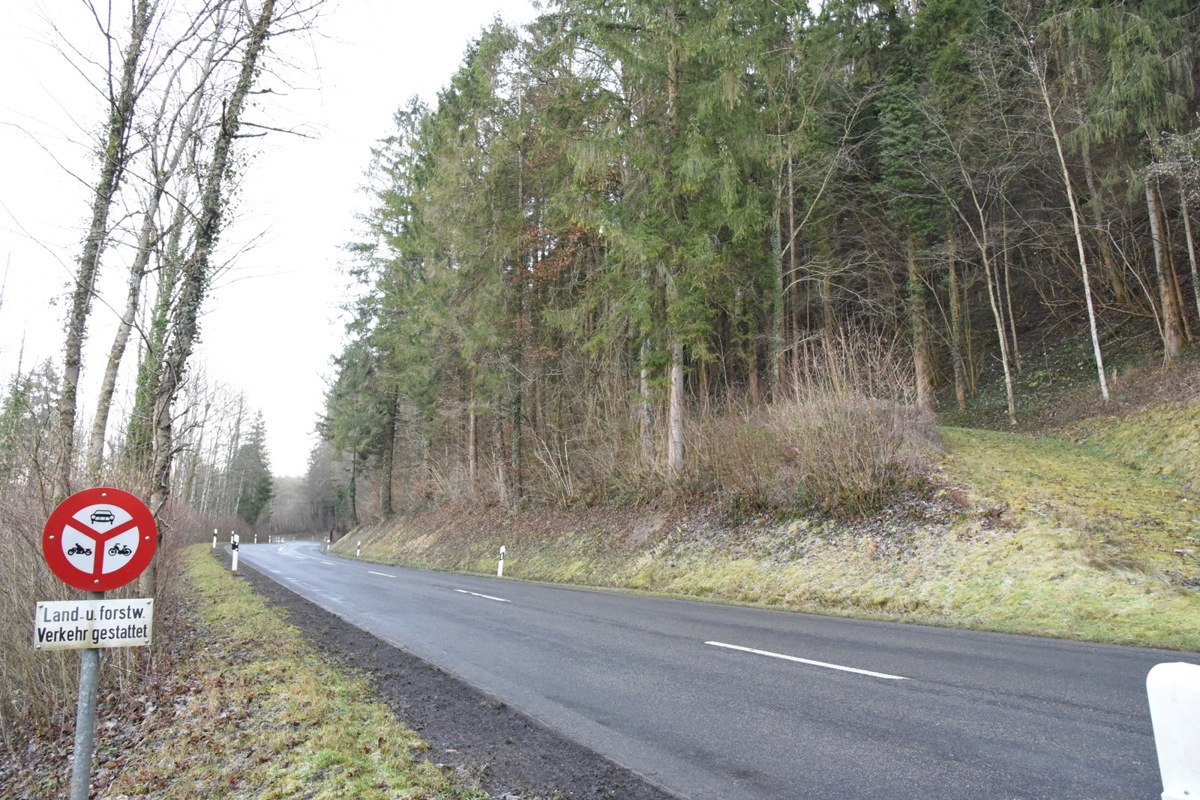 Umfangreiche Holzerarbeiten am Schutzwald «Egg» und «Hinden Egg» machen eine Vollsperrung der Andelfingerstrasse in diesem Bereich nötig.