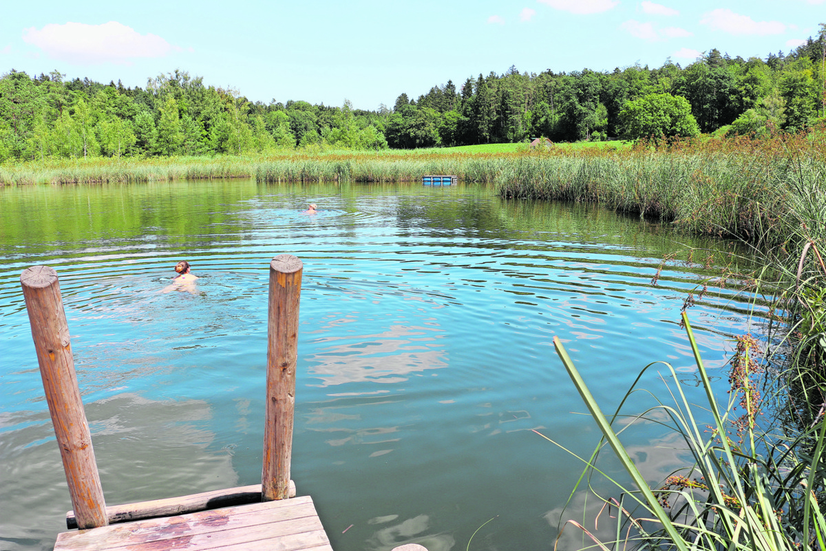 Der Barchetsee ist ein beliebter Ort im Sommer und bekannt für seine schwimmenden Inseln.