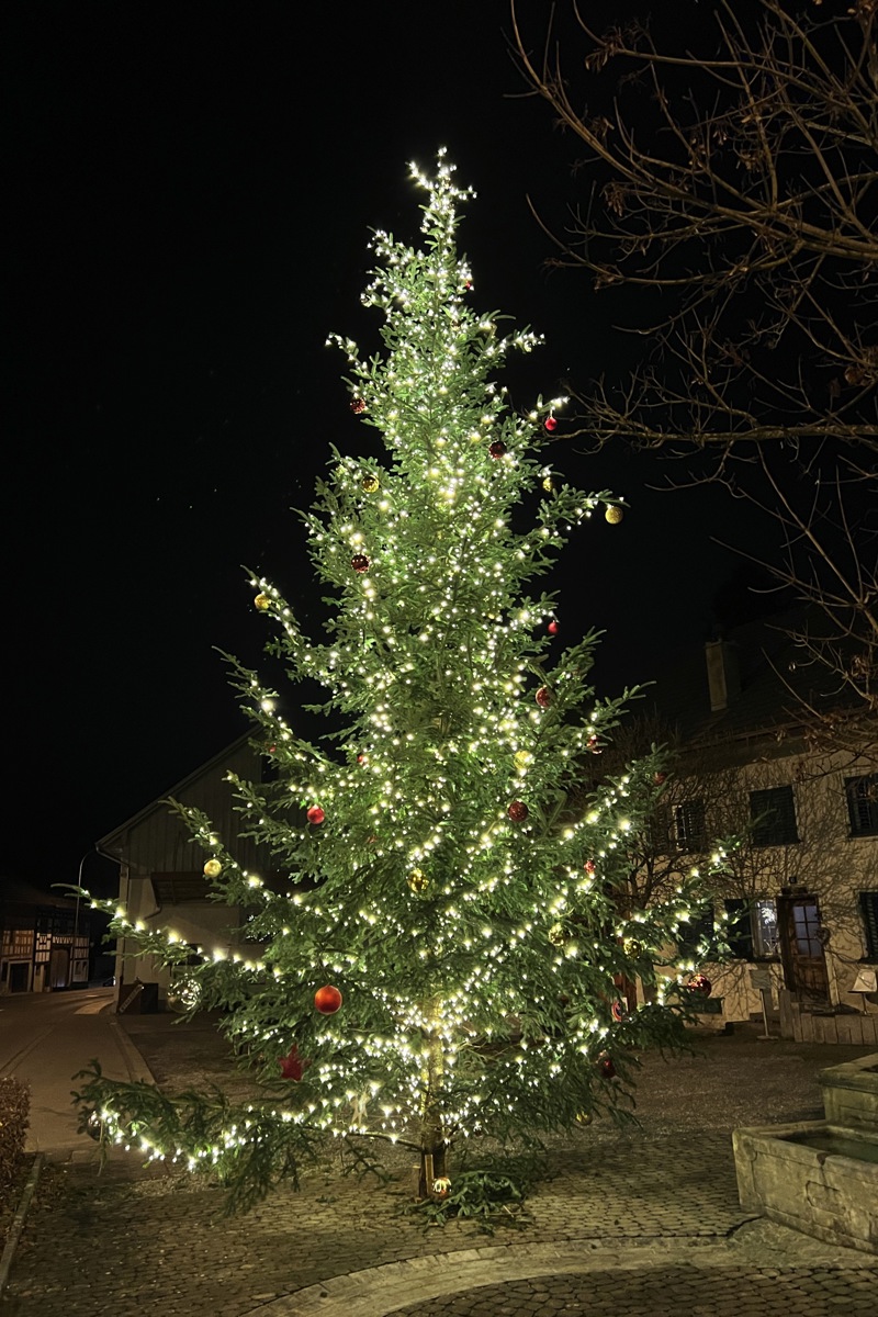 1312 13 Lichterzauber Benken Tanne Spa12