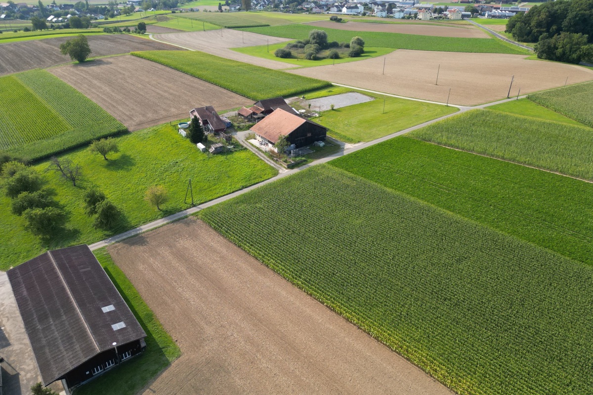 Der Türnihof von oben.