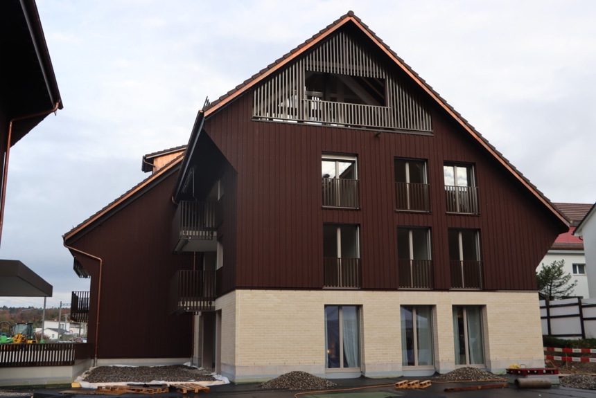 2810 3 Dachsen Bi De Luet Aussen St24 2810 3 Dachsen Bi De Luet Aussen St24