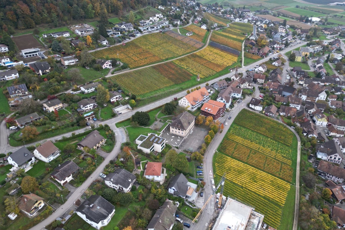 Die Trennung der Wohnzone W1 verläuft oberhalb des Rebbergs nach der zweiten Häuserreihe: Auf der linken Seite sind Schrägdächer Pflicht. Unten rechts die freie Parzelle, die nun Freihaltezone ist und an die Kernzone grenzt.