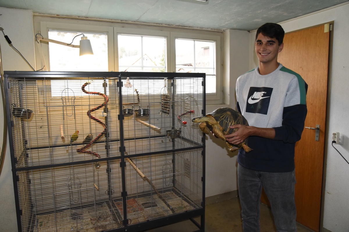 Als Schüler-Student konnte Tristan Eberhard Uni-Luft schnuppern. Seine Familie hat viele Haustiere wie diese Landschildkröte aus Madagaskar oder die afrikanischen Papageien im Käfig. Gern würde er später Human- oder Tiermedizin studieren.