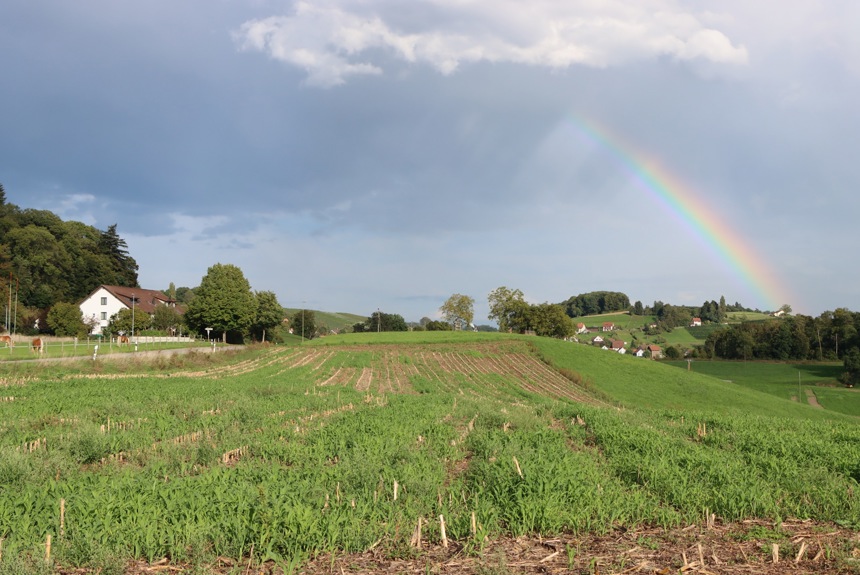 1609_5_regenbogen_sm15.jpg