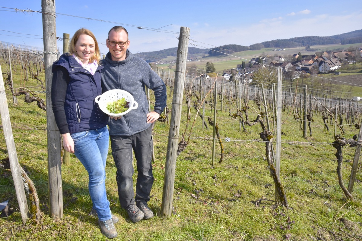 Annika und Ueli Kilchsperger mit einigen spontan gesammelten Kräutern aus ihrem Rebberg.