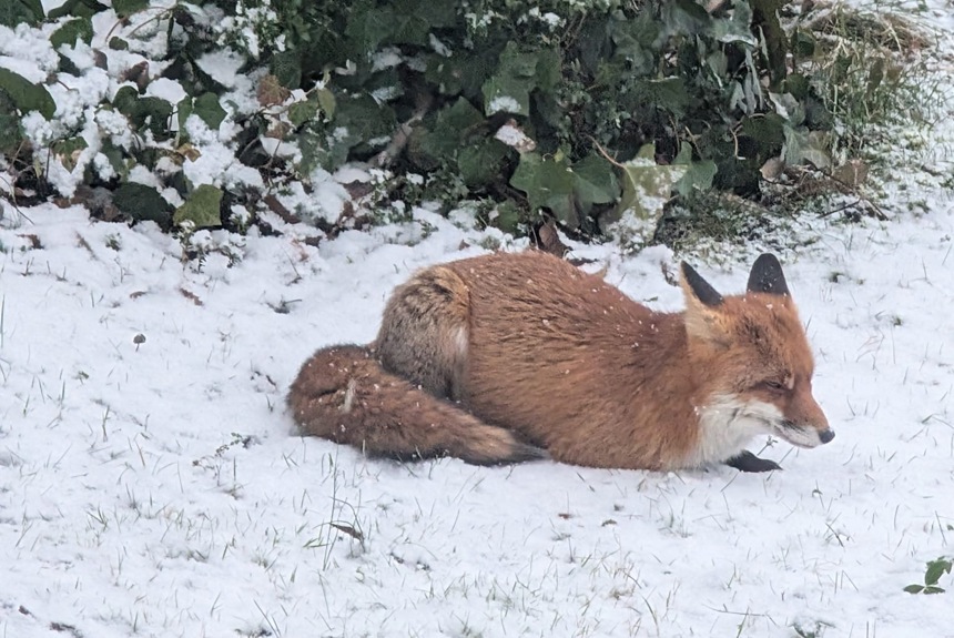 Whatsapp Image 2026 01 11 At 09.13.3319