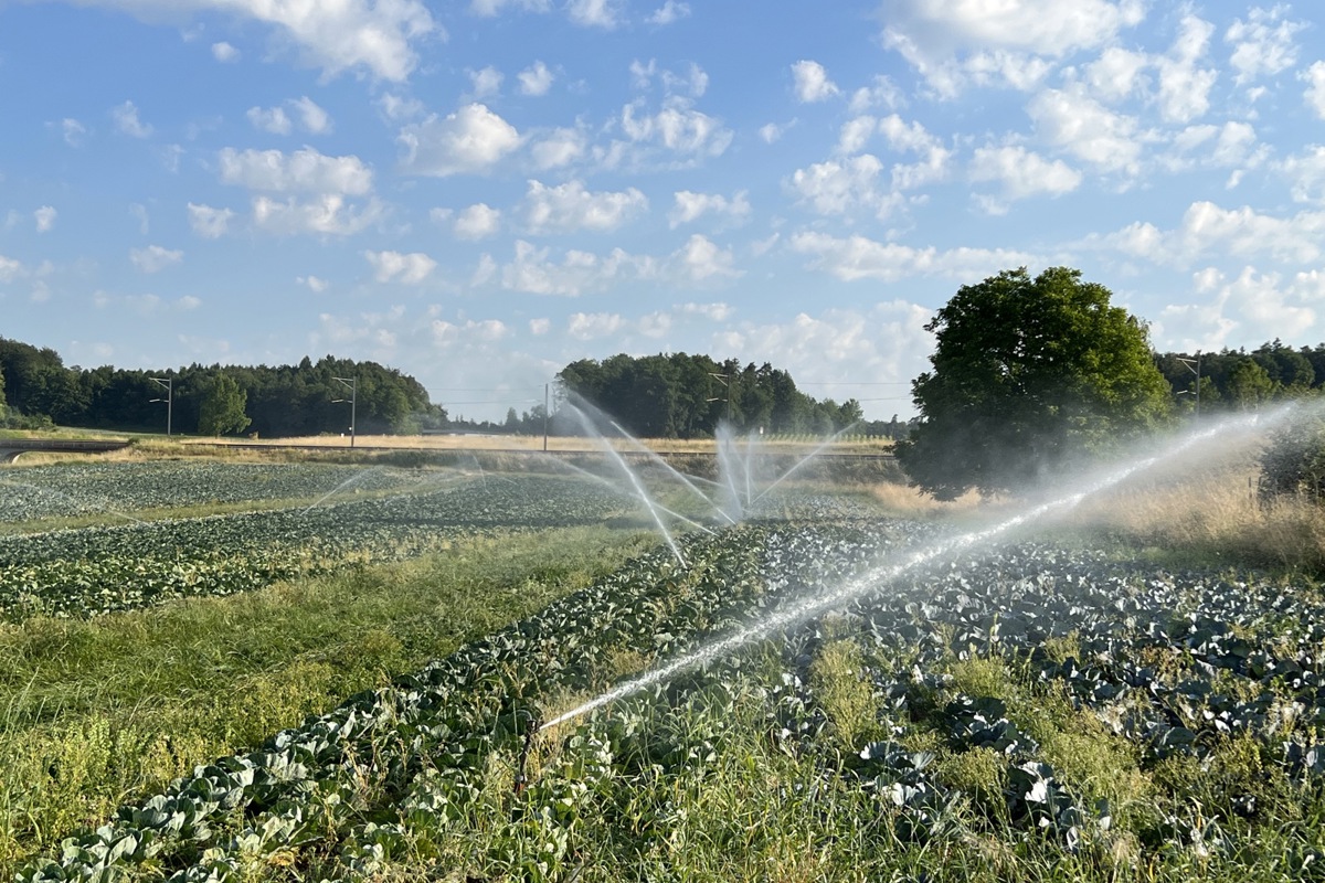 «Die Landwirtschaft haben wir im Griff»