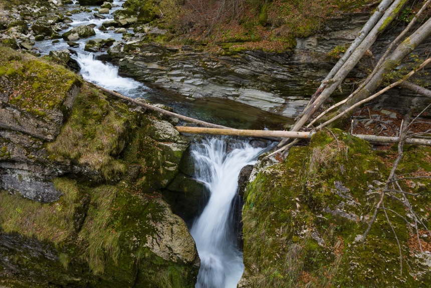 2410 3 Thur Vortrag Benno Danuser23