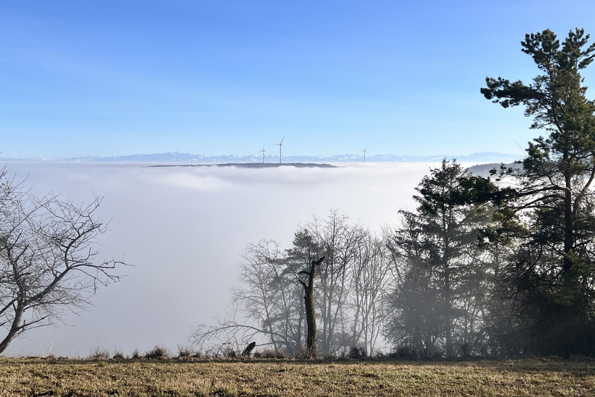 Blick von Bargen: Im Hintergrund Säntis und Churfirsten