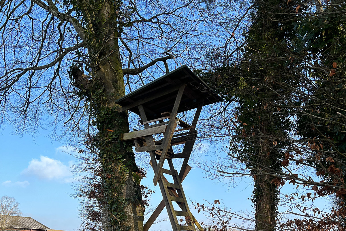 In den beiden grössten Jagdrevieren im Kanton, Marthalen-Rheinau und Feuerthalen-Kohlfirst, werden ab April Gruppen mit neuen Obmännern jagen. Auch in Altikon gibt es einen Wechsel.