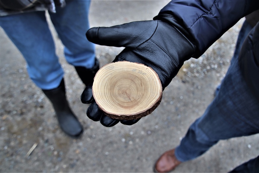 1702 5 Truttikon Holzgant Scheibe Romue11