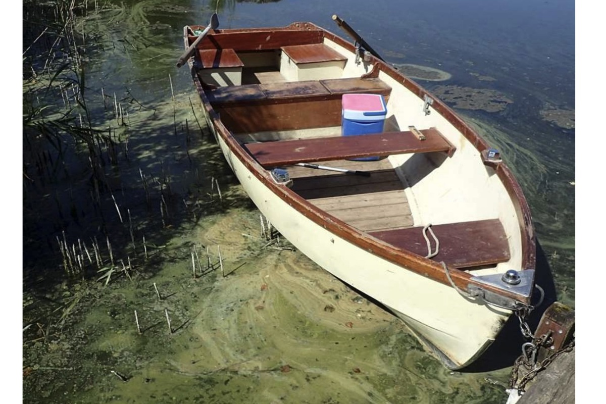 Wo es nicht appetitlich aussieht, sollte man mit dem Wasser nicht in Berührung kommen. Es könnte sich um giftige Stoffwechselprodukte von Blaualgen handeln. 