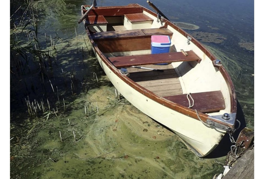 2410 9 Blaualgen Huettnersee 2021 Zvg3