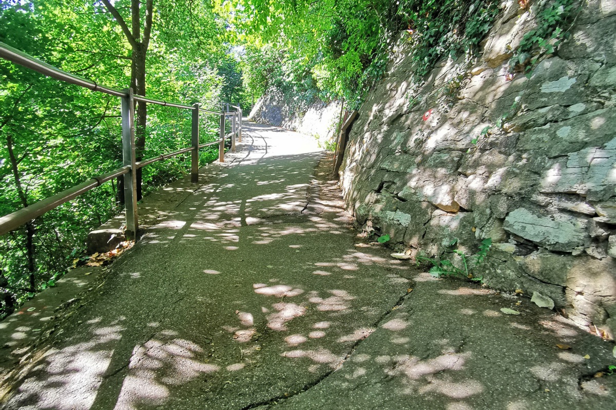 Der Rheinfallweg auf Schaffhauser Seite weist zahlreiche Risse und Unebenheiten auf.