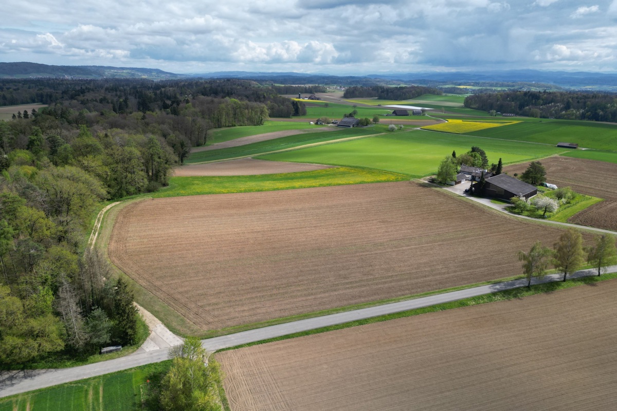 Rund um den Steighof (rechts) könnten bis zu 600'000 Kubikmeter Bauschutt deponiert werden.