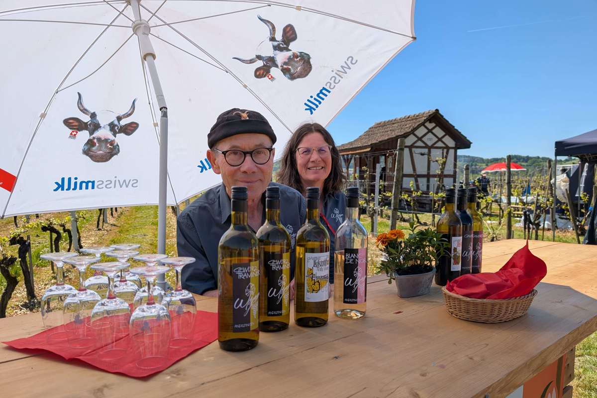 Bratwurst, Burger und Salat – vor allem aber die verschiedenen Weine und Traubensäfte des «Lokipfiff» lockten die Gäste von Andres und Annemarie Wegmann in den Rebberg oberhalb von Andelfingen. Mitten im Grünen liessen es sich die Gäste gut gehen. Für die Kleinsten bot ein Sandhaufen etwas Abwechslung, wenn sich die Eltern über Gewürztraminer, Blanc de Noir und Gamaret unterhielten.
