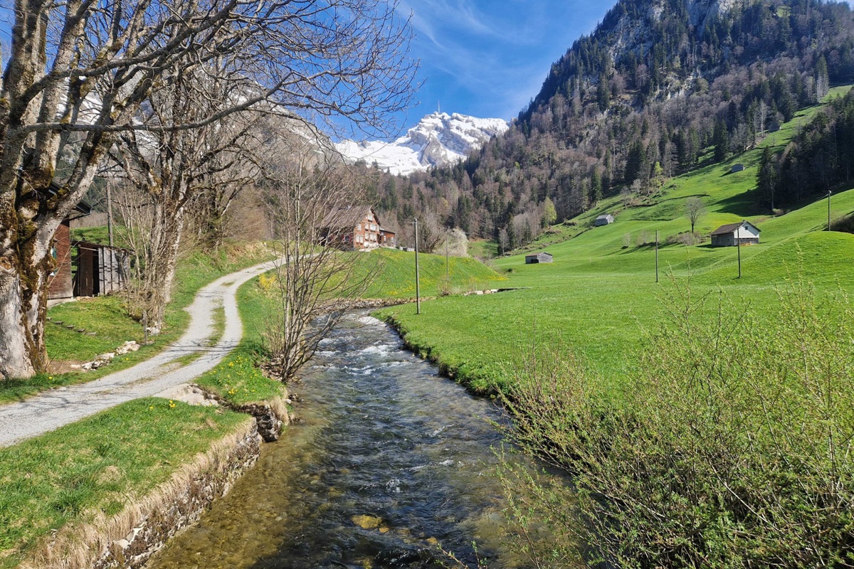 Mit verschiedenen Massnahmen soll im Toggenburg erreicht werden, dass Wasser möglichst langsam abfliesst und so lange verfügbar bleibt.