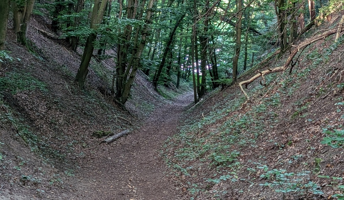 11_-und-bin-froh-dass-ich-ein-mountainbike-fahre-es-geht-steil-bergab.jpg