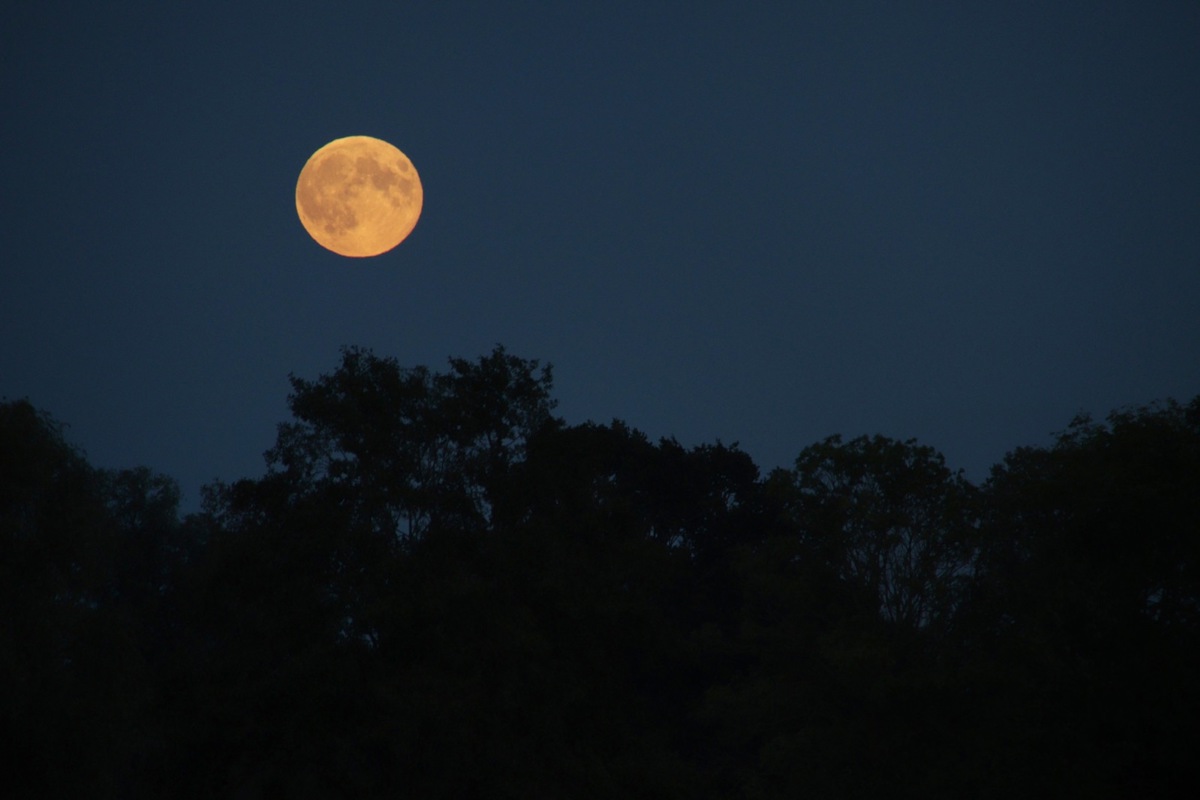 Der Mond kam der Erde am Donnerstag vergangener Woche besonders nah.