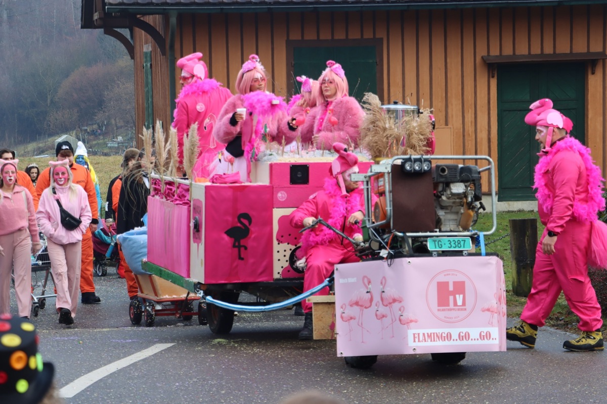 Ein knallpinker Flamingo-Wagen sorgte am Hilariumzug in Feuerthalen für einen auffälligen Farbtupfer.