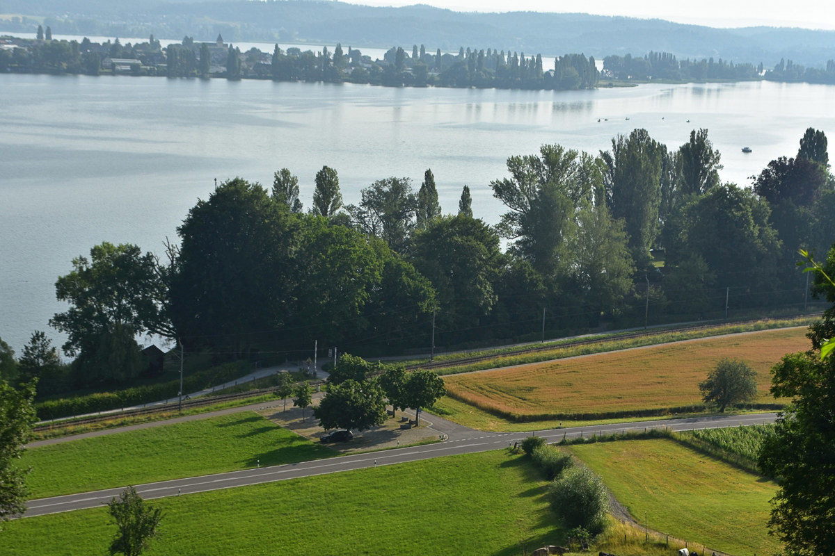 Unterhalb vom Arenenberg wurden die 400 Müller-Thurgau Stecklinge von Albert Röhrenbach und Gottfried Ainser in Empfang genommen und über den See geschmuggelt.