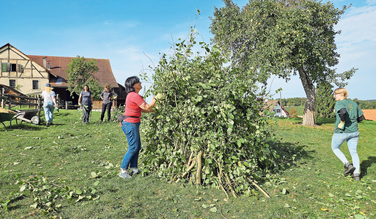 1010_1_wieselburgen-bauen-hof-moser_jbe.jpg