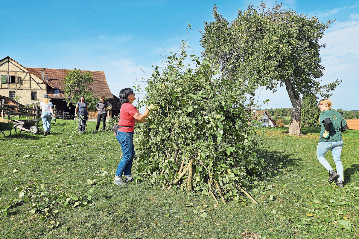 Auf der Wiese von Familie Moser in Adlikon entstanden am Samstag drei grosse Wieselburgen.