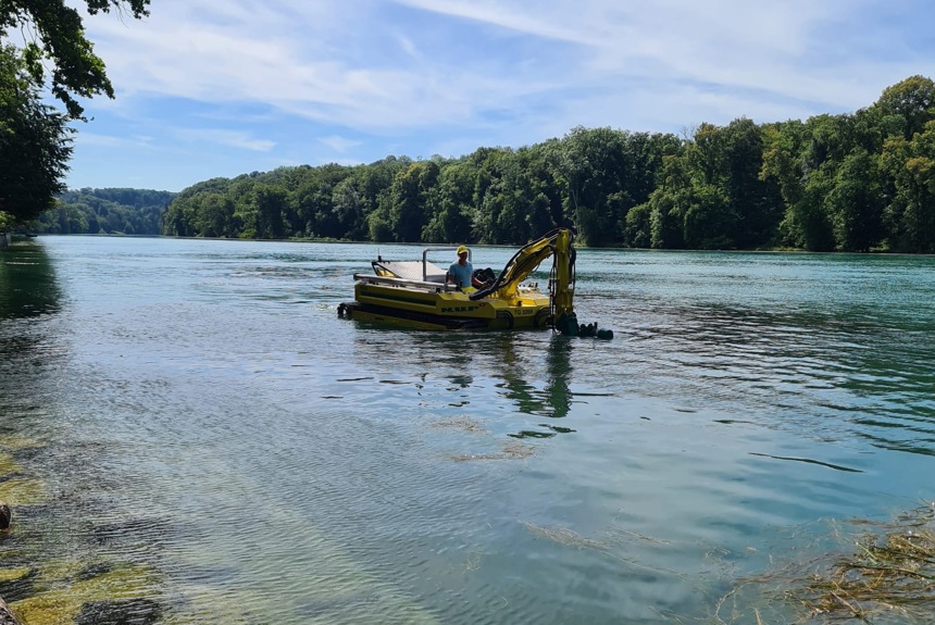 1707 9 Rhein Bachdelle Seegras Nup Zvg13