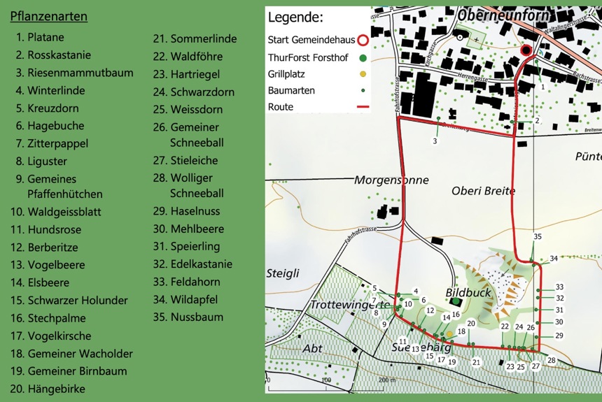 1208 5 Karte Waldlehpfad Zvg13