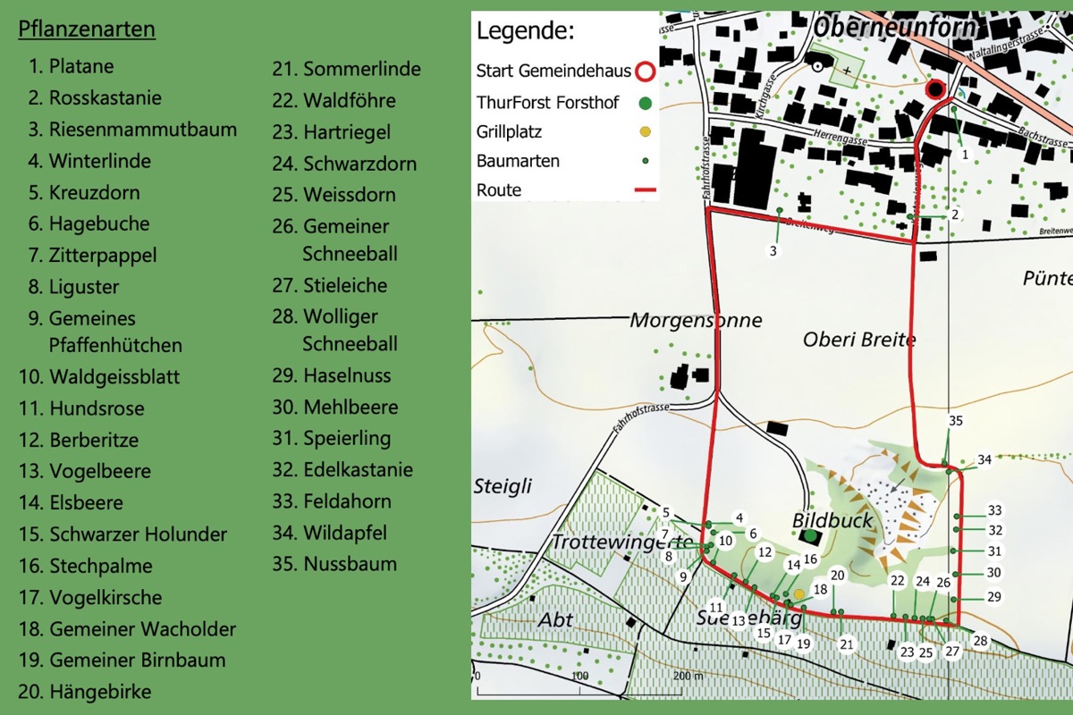 Dieser Lehrpfad ist seit jeher eine beliebte Spazierroute. Nun führt er an noch mehr Stationen vorbei und bietet Zusatzinformationen via QR-Code.