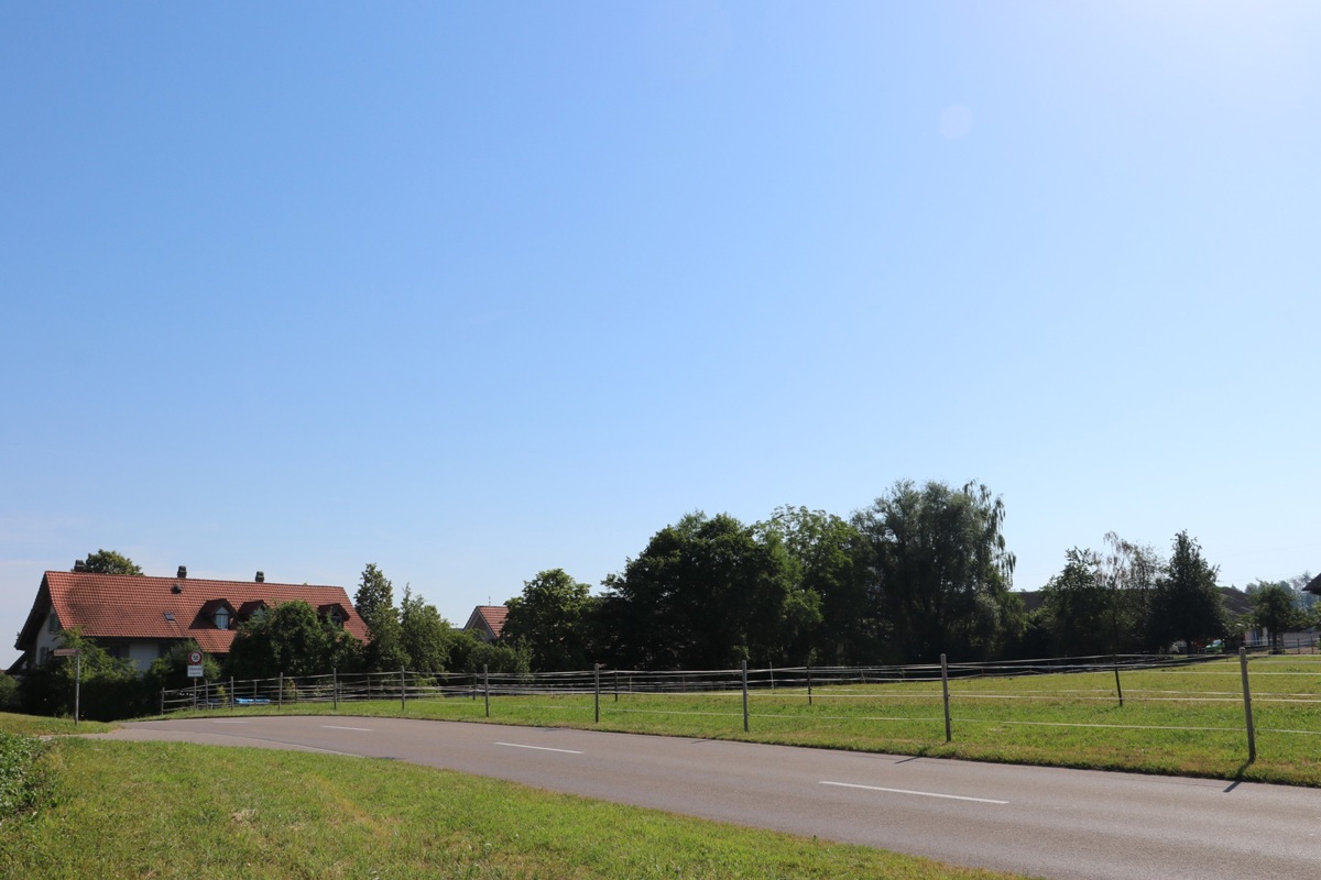 Bei den Bäumen am Dorfeingang von Oberwil kann dank Zonentausch ein Einfamilienhaus gebaut werden.