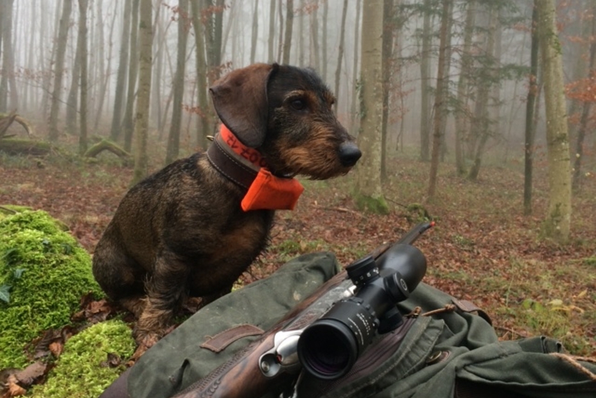 1411 3 Jagdrevier Zvg