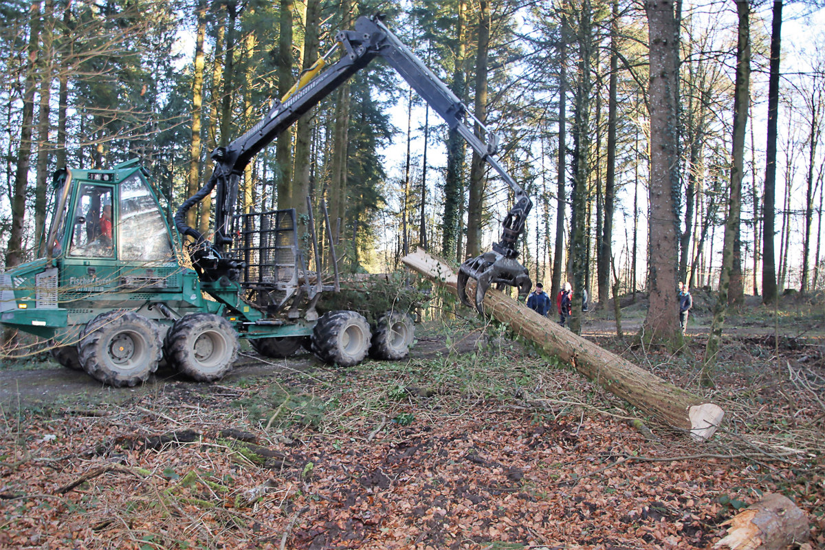 René Fischer zeigt den Einsatz mit dem Forwarder, um geschlagenes Holz aus dem Wald abzuführen.