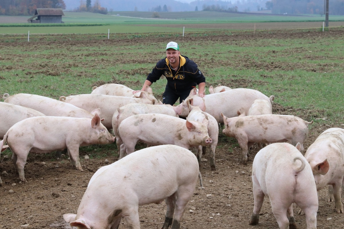 Reto Wipf hält 80 Freilandschweine. Und bald will er auch Tofu produzieren.