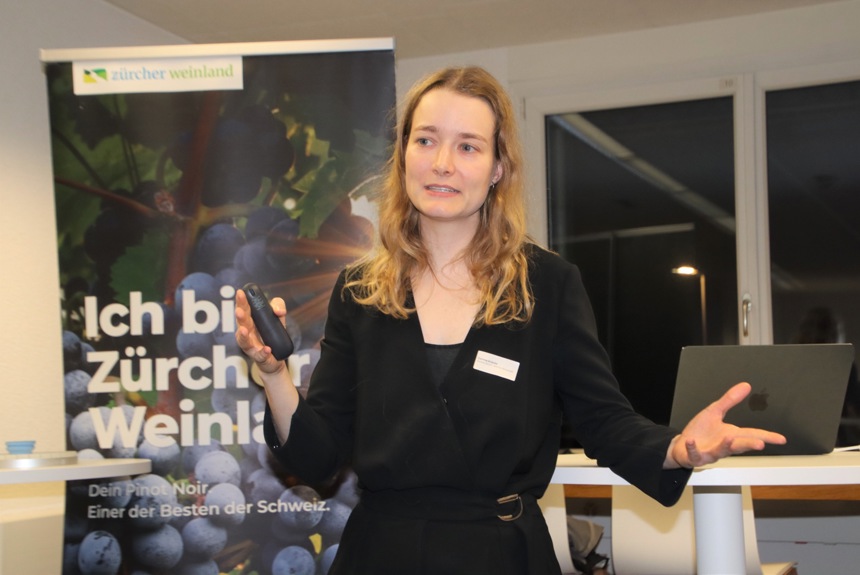 3010 20 Wirtschaftsdialog Romue6