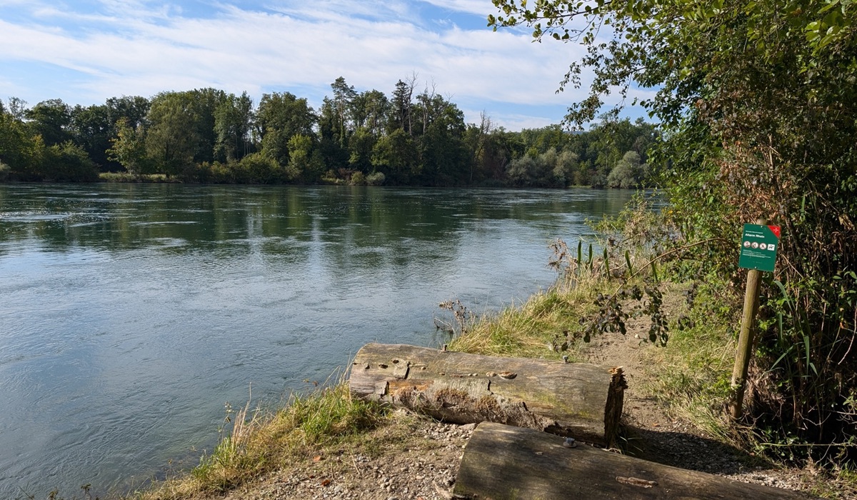 35_dem-altarm-des-rheins-entlang-fuehrt-ein-sehr-schoener-fussweg.jpg