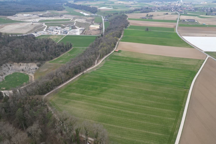 2403 5 Marthalen Guldiland Laubere Nidermartel Spa1