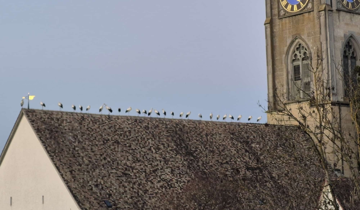 PHOTO 2025 11 22 21 21 42