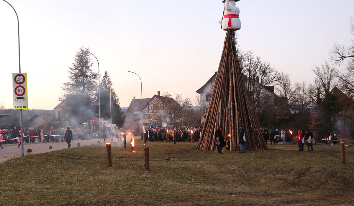 0403 3 Rheinau Fasnacht Spa